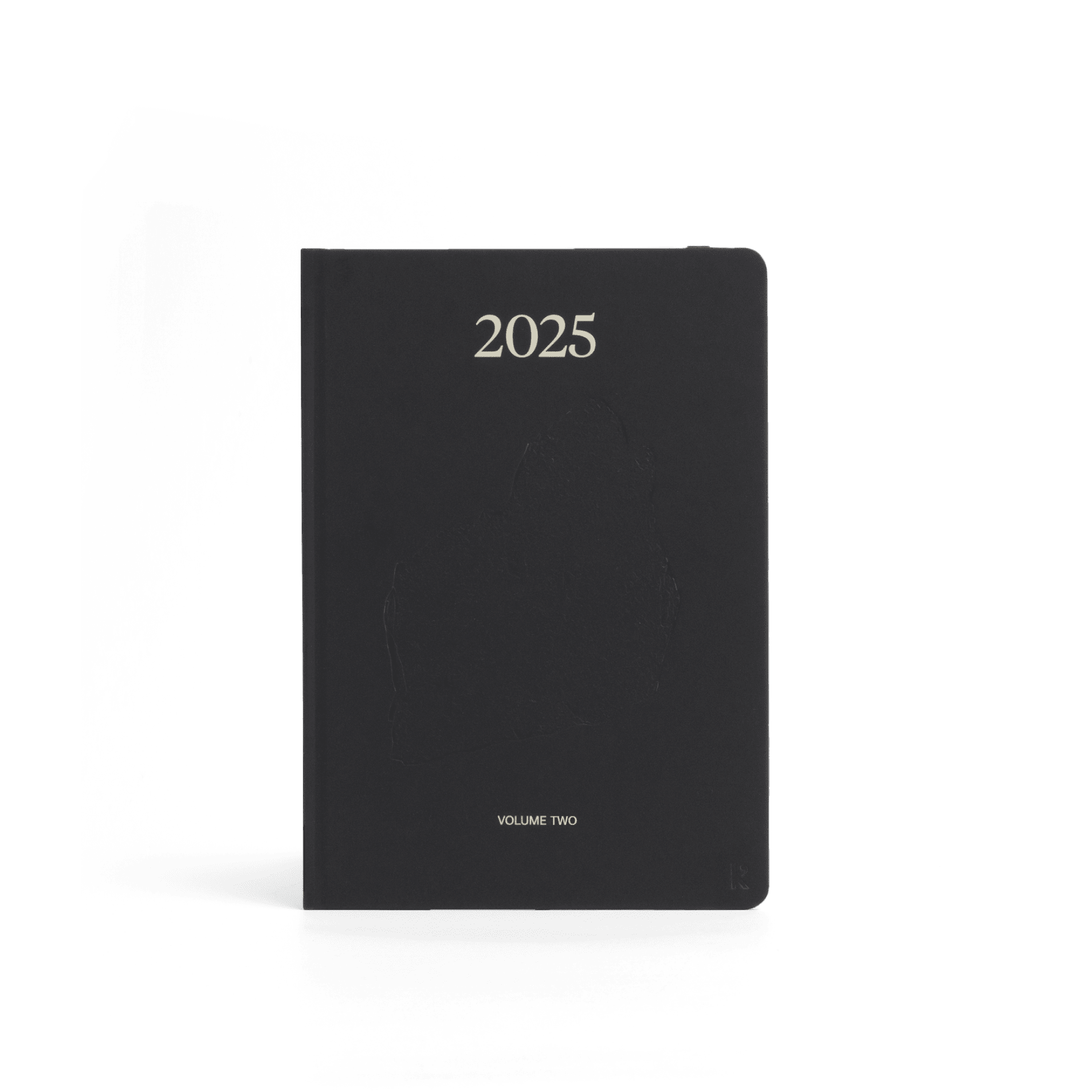 2025 Daily Planner Set